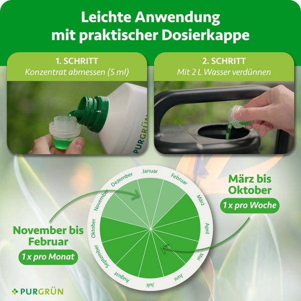 Anwendung Flüssigdünger: 5 Milliliter Konzentrat auf 2 Liter Wasser. März bis Oktober wöchentlich, November bis Februar monatlich. Purgrün Logo.