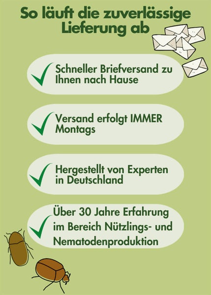 Schlupfwespen Lagererzwespen gegen Brotkäfer, Tabakkäfer, Kugelkäfer, Messingkäfer | Nützlinge, biologisch