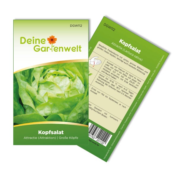 Kopfsalat Attractie/Attraktion Samen von Deine Gartenwelt