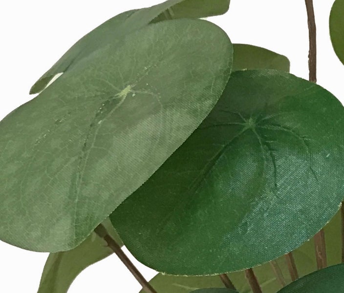 Detailaufnahme eines grünen Blattes einer Kunstpflanze mit braunem Stiel.