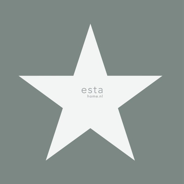 Esta Home Logo