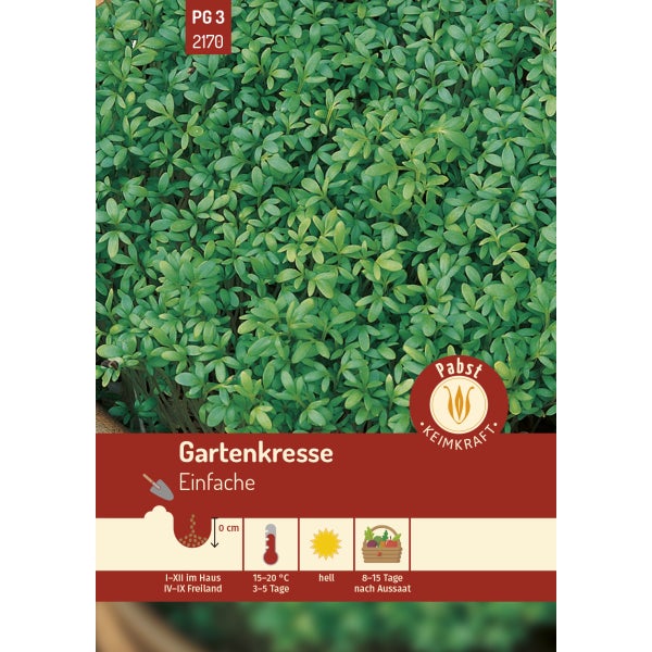 Gartenkresse Einfache Samen von Pabst Keimkraft