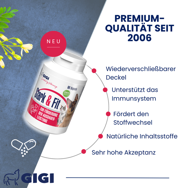 GiGi Stark and Fit Nahrungsergänzungsmittel für Hunde und Katzen zur Förderung der Ausdauerleistung in einer Dose mit wiederverschließbarem Deckel.