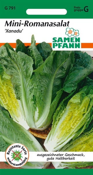 Mini-Romana Salat 'Xanadu' Samenpackung