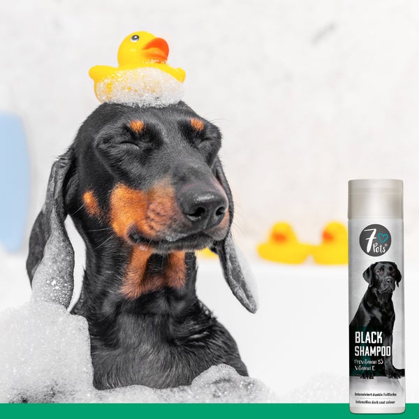 Black Shampoo für Hunde – Mit Provitamin B5 & Vitamin E – Pflegeshampoo für dunkles Hundefell – Sanfte Reinigung & Revitalisierung – Für glänzendes, gesundes Fell – 250 ml