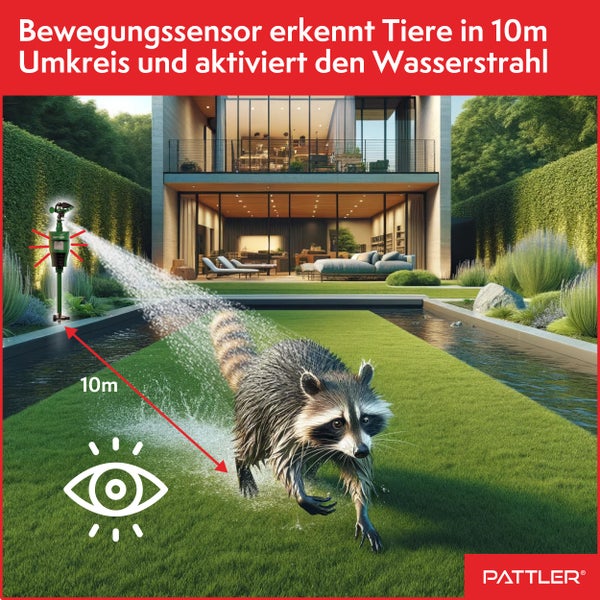 PATTLER® Wasserstrahl Tiervertreiber I Katzenschreck, Vogelabwehr, Reiherschreck für Garten | PIR-Bewegungsmelder I Reichweite bis zu 10 m I Vogelschreck, Katzenabwehr, Hundeabwehr