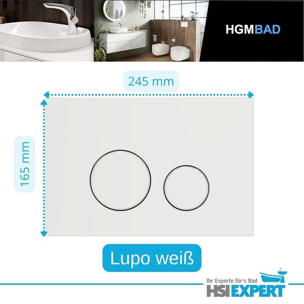 Weisse Betätigungsplatte mit zwei Spültasten und Massangaben 245 mal 165 Millimeter