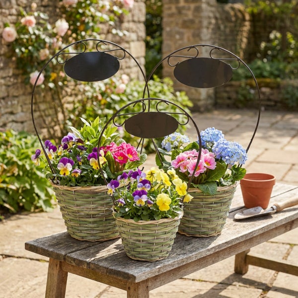 Drei bepflanzte Blumenkörbe mit Metallrankhilfen und Beschriftungsschildern auf einer Holzbank im Garten.
