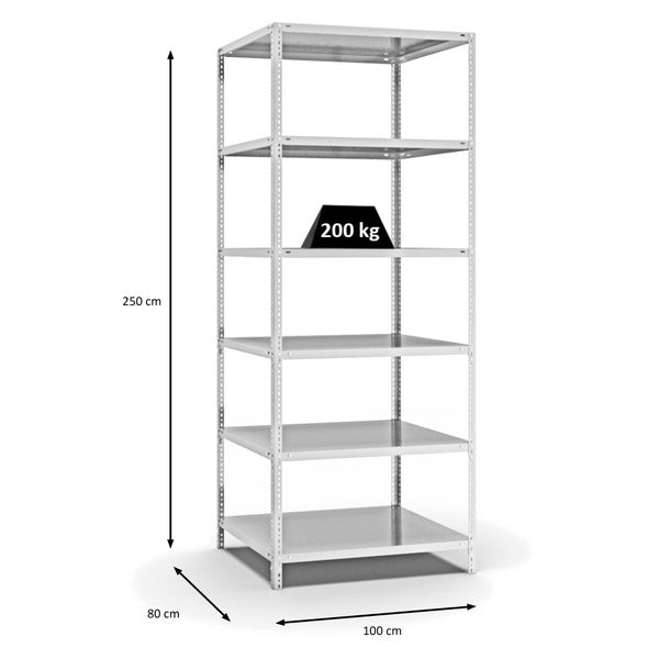 PROREGAL Fachbodenregal Schraubsystem Medium-Duty Grundregal HxBxT 250 x 100 x 80 cm 6 Ebenen Fachlast 200 kg Beidseitig Nutzbar Lichtgrau