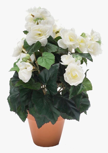Künstliche Begonie mit weißen Blüten im Tontopf