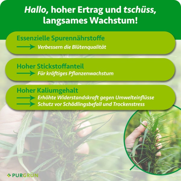 Gemälde mit abstraktem Muster auf einer Staffelei