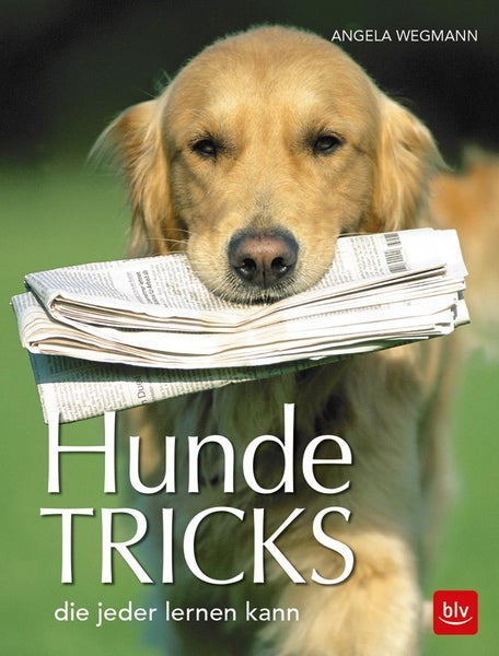 Hundetricks die jeder lernen kann