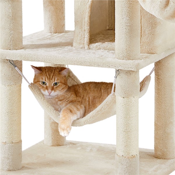 Katze entspannt in einer Hängematte an einem Katzenbaum.