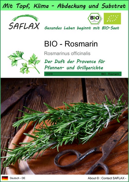 SAFLAX Garden to go - BIO - Rosmarin - Rosmarinus officinalis - 40 Samen - Mit Topf, Klima - Deckel und Anzuchtsubstrat