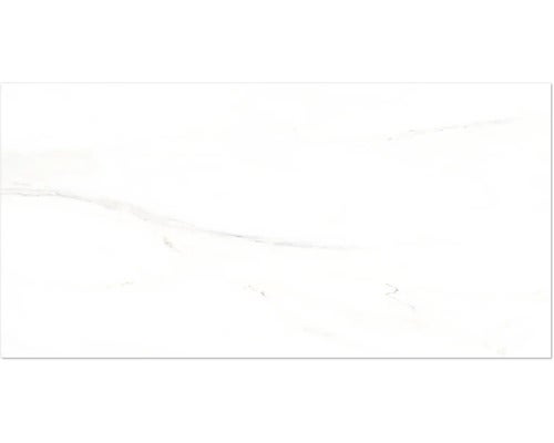 Wand- und Bodenfliese Premium Calacatta 30x60 cm glänzend rektifiziert