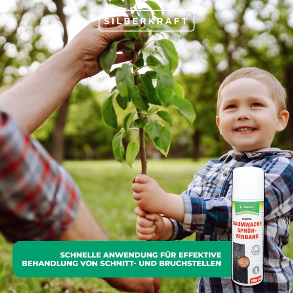 Baumwachs Sprühverband – Wundverschlussmittel zur sicheren Versorgung von Schnitt- & Verletzungsstellen – Für Obstbäume, Ziergehölze & Veredelung – Sprühbar, farblos, atmungsaktiv