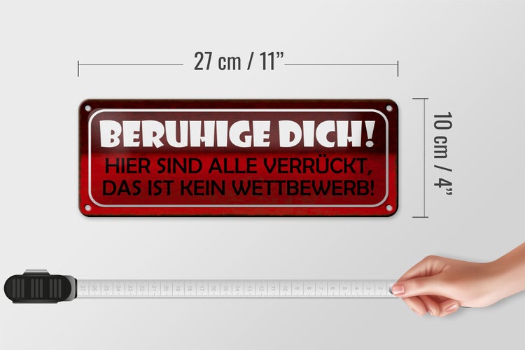Blechschild Spruch 27x10cm beruhige dich hier sind alle verrückt