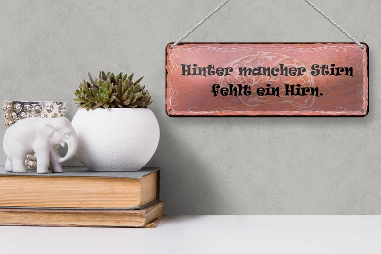 Blechschild Spruch 27x10cm hinter mancher Stirn fehlt Hirn Dekoration