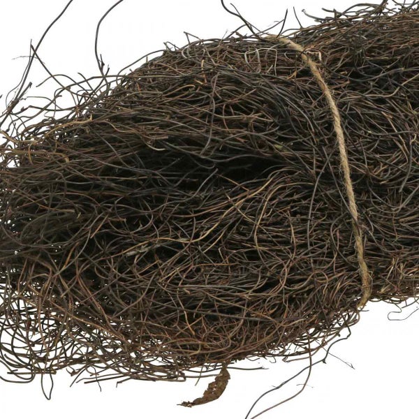 Bündel aus Naturzweigen mit Juteschnur für Dekoration und Bastelarbeiten.
