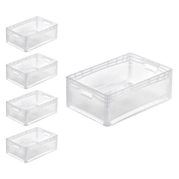 PROREGAL SparSet 5x Transparenter Eurobehälter LightLine mit Offenem Griff HxBxT22 x 40 x 60 cm 4,6 Liter Eurobox Transportbox