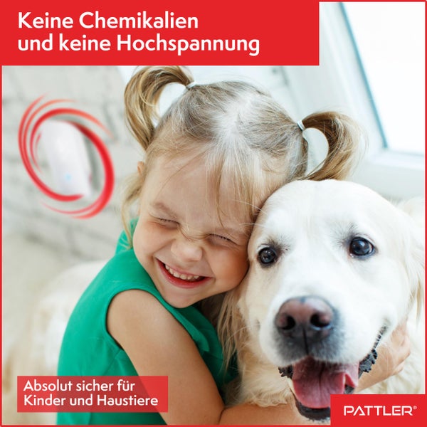 PATTLER® Nachfüllset mit 20 Klebekarten für UV Fliegenfalle - Fliegen Klebefalle - Extra Starke Klebefläche hält Insekten bei minimaler Berührung