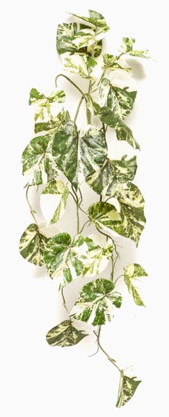 Künstliche Hängepflanze Efeutute mit gemusterten herzförmigen Blättern aus Kunststoff.