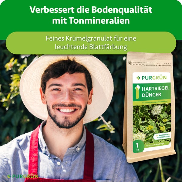 Ein glücklicher Gärtner mit einem Hut neben einem Beutel Purgrün Hartriegeldünger mit Magnesium und Tonmineralien.