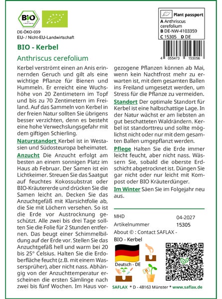 SAFLAX Anzucht Set - BIO - Kerbel - Anthriscus cerefolium - 800 Samen - Mit Mini-Gewächshaus, Anzuchtsubstrat und 2 Töpfen