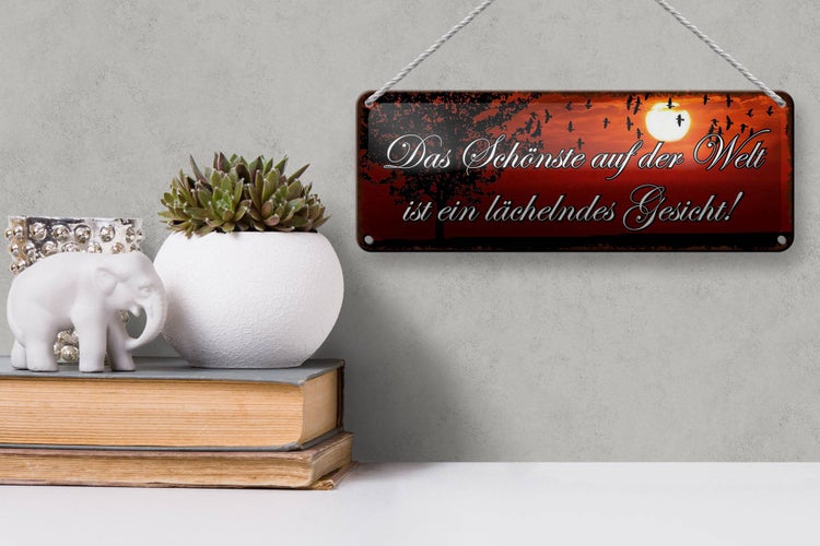 Blechschild Spruch 27x10cm das schönste lächelndes Gesicht Dekoration