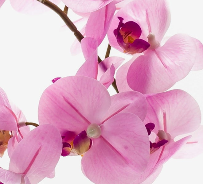 Künstliche Gräser mit hellen Blütenwedeln im schwarzen Topf.