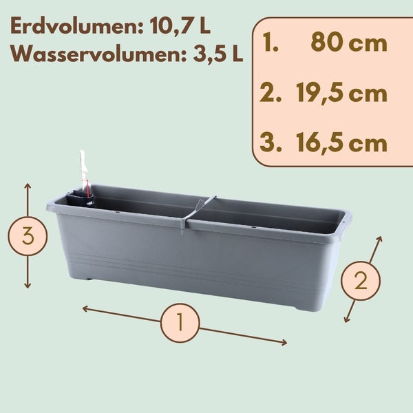 Grauer Blumenkasten mit den Maßen 80 Zentimeter Länge, 19,5 Zentimeter Breite und 16,5 Zentimeter Höhe