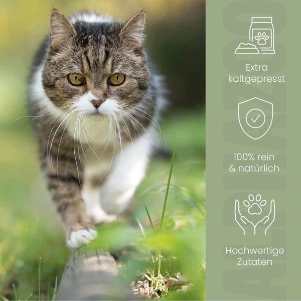 Katze mit Hinweisen zu kaltgepresstem, rein natürlichen Katzenfutter mit hochwertigen Zutaten