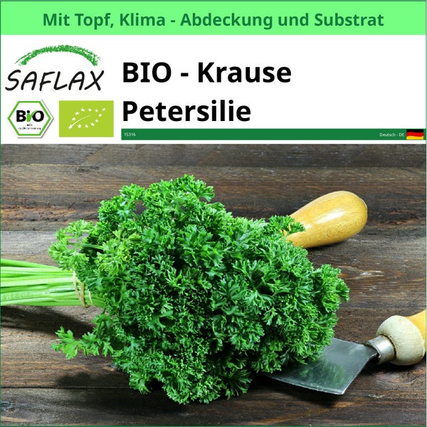 Bio-Krausepetersilie von Saflax mit Topf, Klimaabdeckung und Substrat
