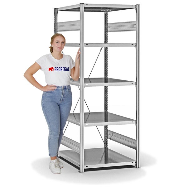 PROREGAL Fachbodenregal Stecksystem T-Profil Medium-Duty Grundregal HxBxT 200 x 75 x 80 cm 5 Ebenen Fachlast 230 kg Einseitig Nutzbar Verzinkt