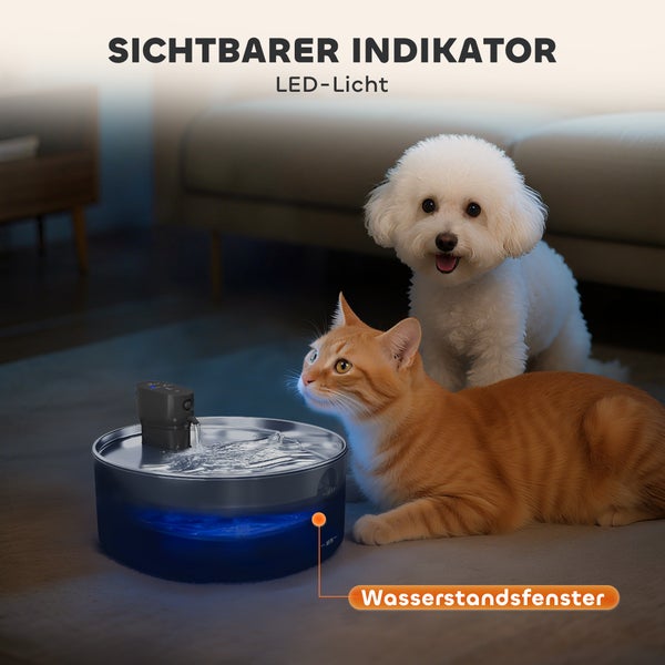 Katze und Hund neben einem Trinkbrunnen mit Wasserstandsanzeige
