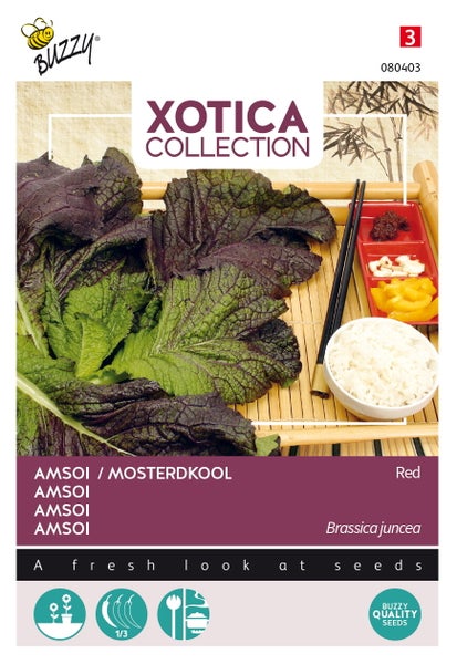 Amsoi / Mostertkool Samenpackung