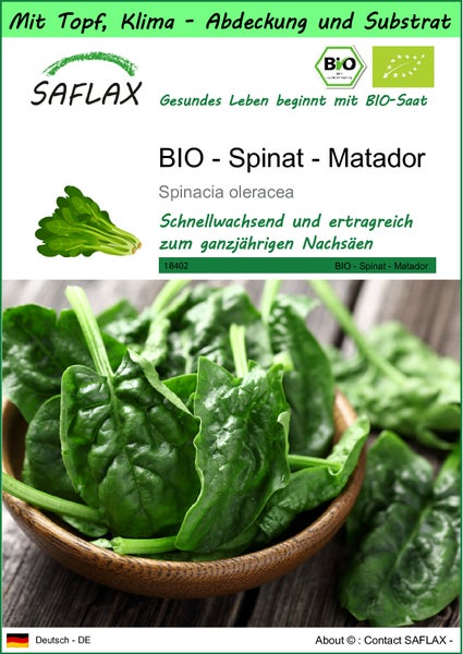SAFLAX Garden to go - BIO - Spinat - Matador - Spinacia oleracea - 300 Samen - Mit Topf, Klima - Deckel und Anzuchtsubstrat