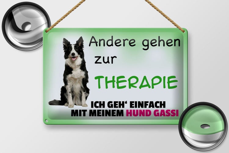 Blechschild Spruch 30x20cm ich geh' mit meinem Hund Gassi