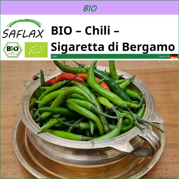 SAFLAX  - BIO – Chili – Sigaretta di Bergamo - Capsicum annuum - 10 Samen