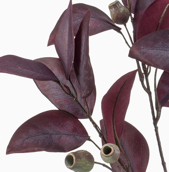 Drei grüne Farnwedel mit gefiederten Blättern.