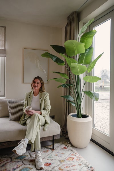 Künstliche Pflanze Strelitzia 180 cm real touch