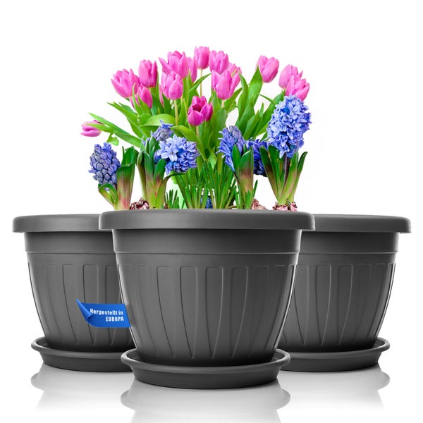 Drei Kunststoff Pflanzkübel mit Untersetzer und Frühlingsblumen wie Tulpen und Hyazinthen, Hergestellt in Europa Hinweis.