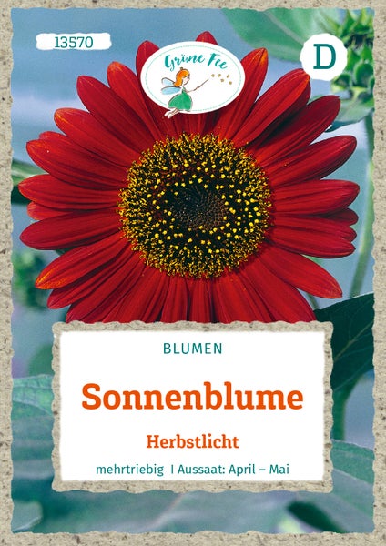 Samentüte Sonnenblume Herbstlicht, dunkelrote Blüte mit gelb-brauner Mitte, mehrtriebig, Aussaat April bis Mai, Grüne Fee Logo.