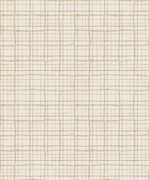 Doppeltor und Gartentor Set