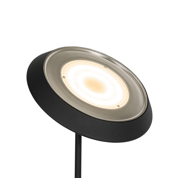 Außenleuchte mit Erdspieß