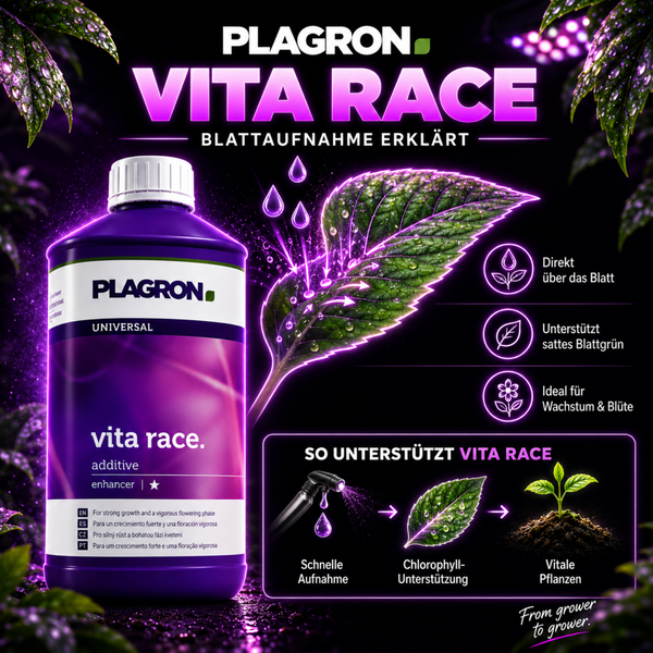 Plagron Vita Race Blattdünger Flasche mit Informationen zur Anwendung und Wirkungsweise für kräftiges Pflanzenwachstum und reiche Blüte.