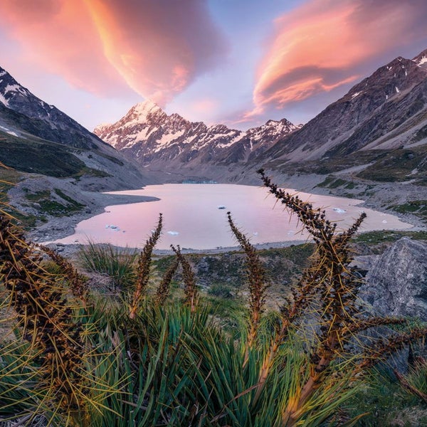 Landschaft mit See, Bergen und Vegetation im Vordergrund