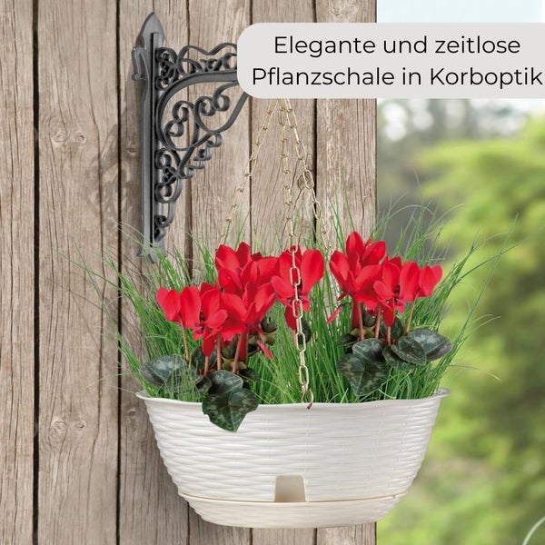 Pflanzenampel Hängeschale Blumenampel Hängeampel inkl. Kette und Wandhalterung Rattan Optik weiß