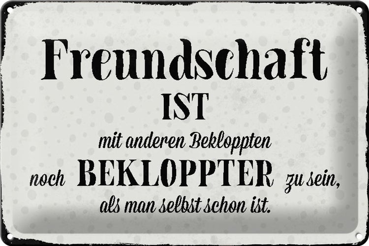 Blechschild Spruch 30x20cm Freundschaft ist mit anderen