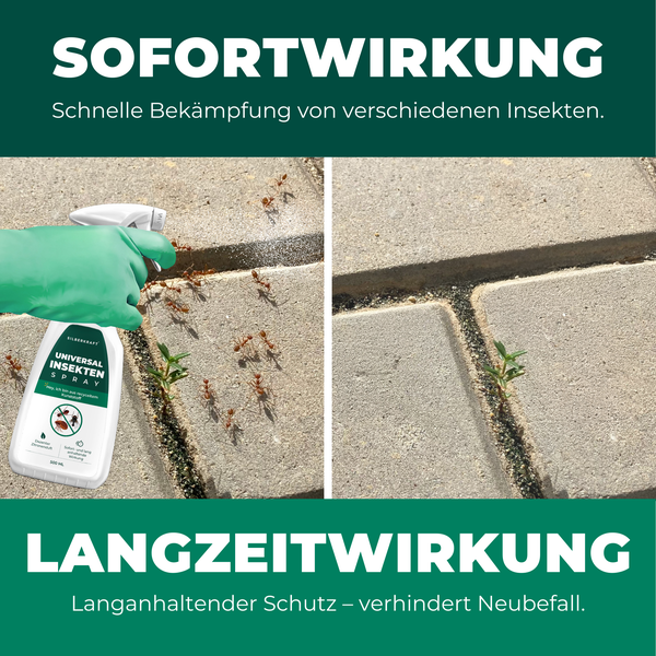 Silberkraft Universal Insektenspray 500 ml, Effektives Repellent gegen Insekten, Zuverlässige Bekämpfung von Fliegen, Mücken, Flöhe, Ameisen und mehr